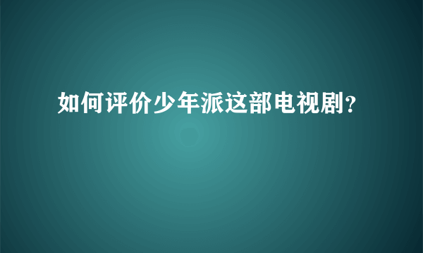 如何评价少年派这部电视剧？