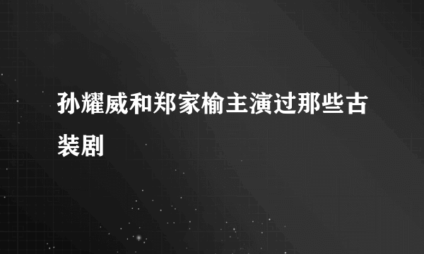 孙耀威和郑家榆主演过那些古装剧