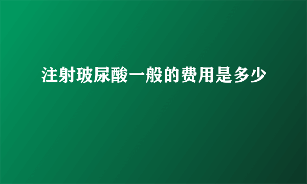 注射玻尿酸一般的费用是多少