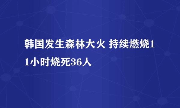 韩国发生森林大火 持续燃烧11小时烧死36人