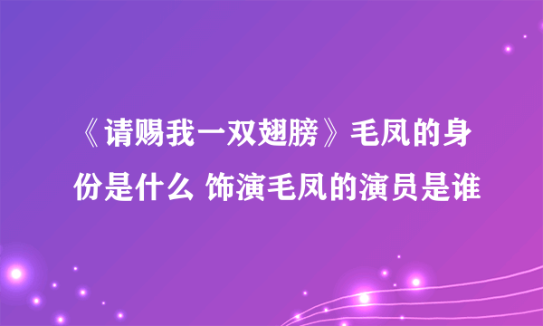 《请赐我一双翅膀》毛凤的身份是什么 饰演毛凤的演员是谁