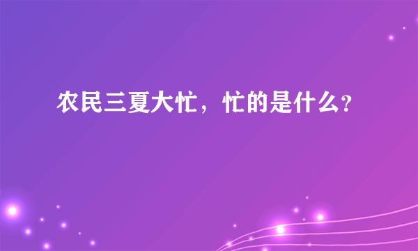 农民三夏大忙，忙的是什么？