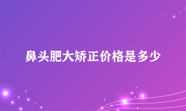 鼻头肥大矫正价格是多少