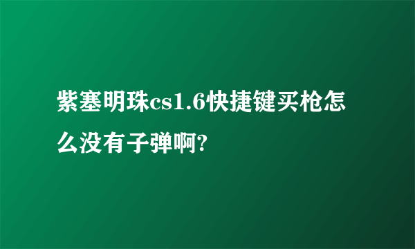 紫塞明珠cs1.6快捷键买枪怎么没有子弹啊?