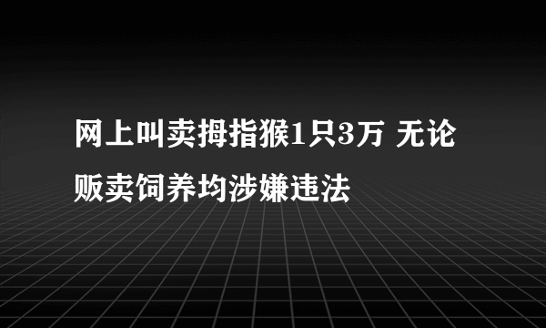 网上叫卖拇指猴1只3万 无论贩卖饲养均涉嫌违法