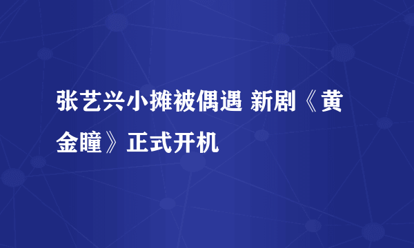 张艺兴小摊被偶遇 新剧《黄金瞳》正式开机