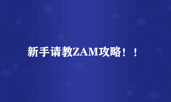 新手请教ZAM攻略！！