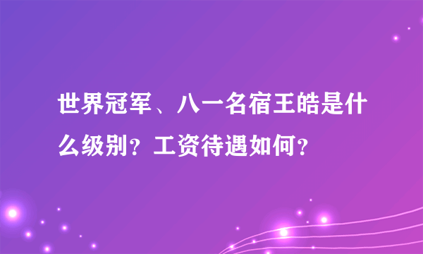 世界冠军、八一名宿王皓是什么级别？工资待遇如何？