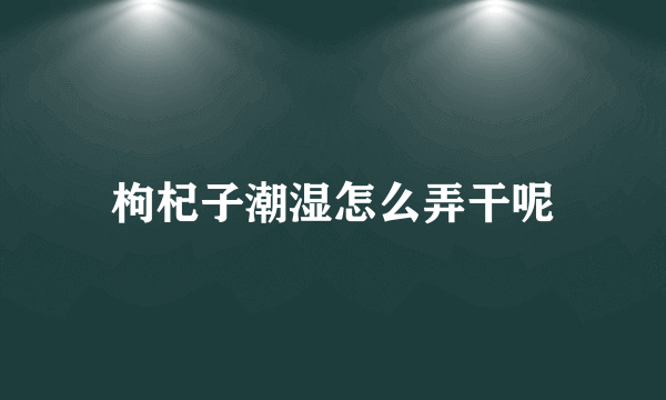 枸杞子潮湿怎么弄干呢