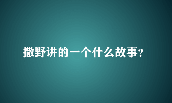 撒野讲的一个什么故事？