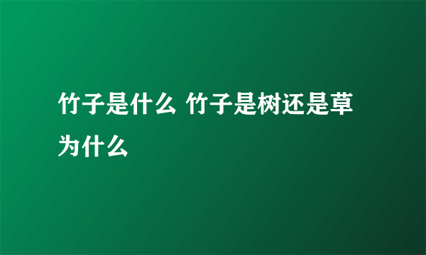 竹子是什么 竹子是树还是草为什么