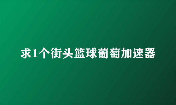 求1个街头篮球葡萄加速器