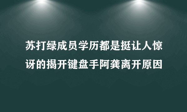 苏打绿成员学历都是挺让人惊讶的揭开键盘手阿龚离开原因