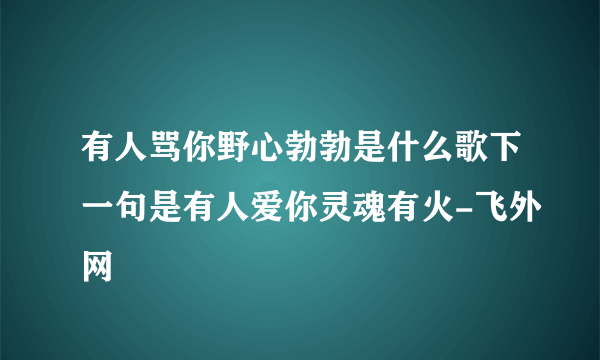 有人骂你野心勃勃是什么歌下一句是有人爱你灵魂有火-飞外网