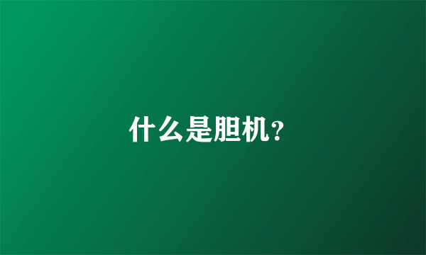 什么是胆机？