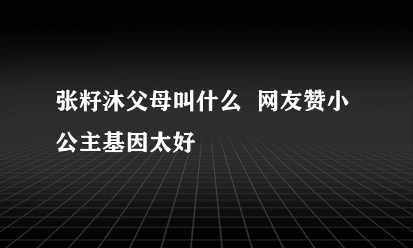 张籽沐父母叫什么  网友赞小公主基因太好