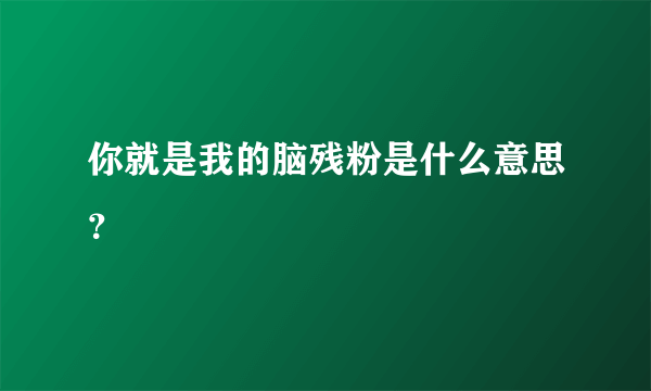 你就是我的脑残粉是什么意思？