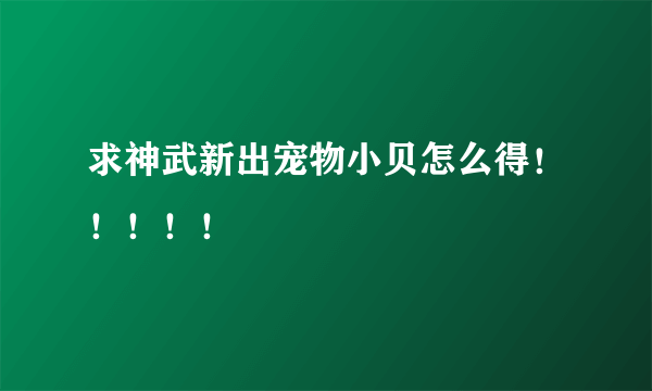 求神武新出宠物小贝怎么得！！！！！