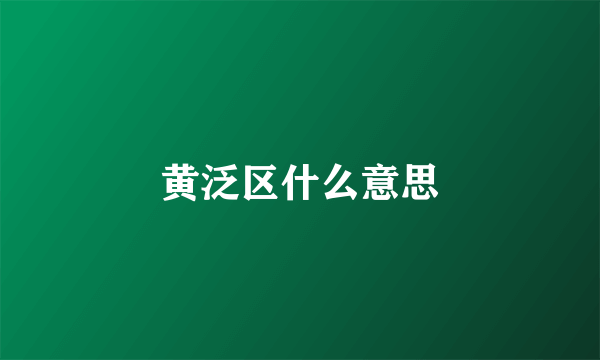 黄泛区什么意思