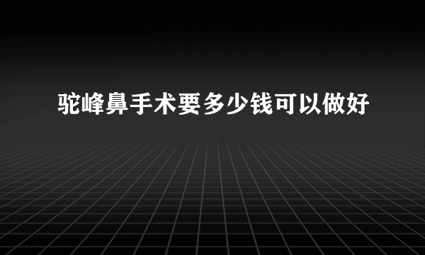 驼峰鼻手术要多少钱可以做好