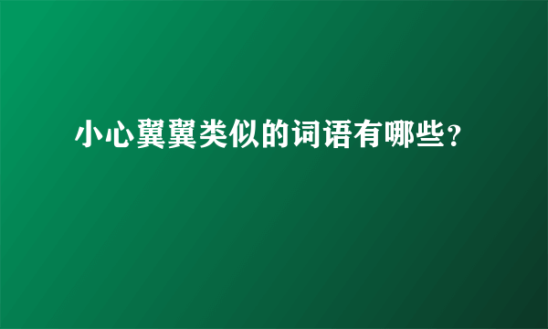 小心翼翼类似的词语有哪些？