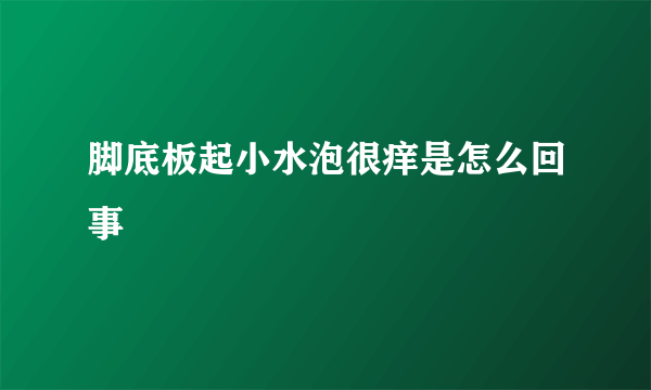 脚底板起小水泡很痒是怎么回事