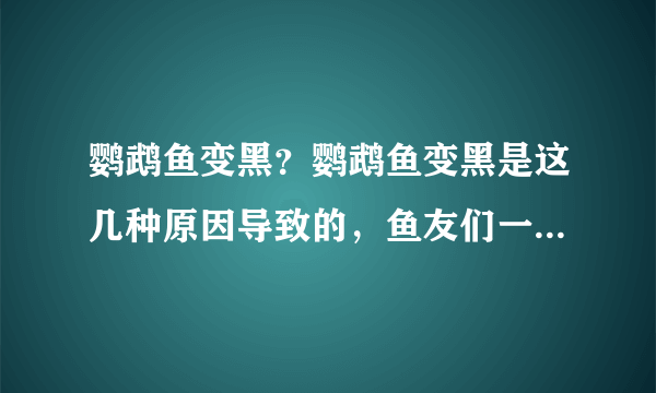 鹦鹉鱼变黑？鹦鹉鱼变黑是这几种原因导致的，鱼友们一定要注意