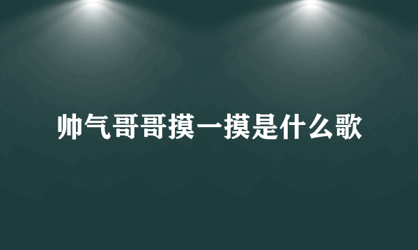 帅气哥哥摸一摸是什么歌