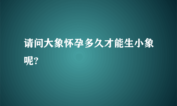 请问大象怀孕多久才能生小象呢?