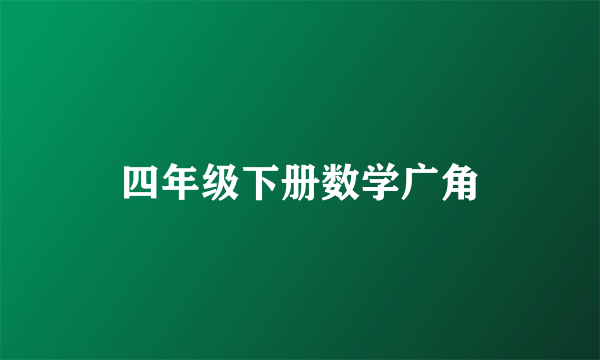 四年级下册数学广角