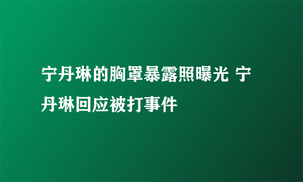 宁丹琳的胸罩暴露照曝光 宁丹琳回应被打事件