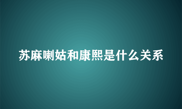 苏麻喇姑和康熙是什么关系