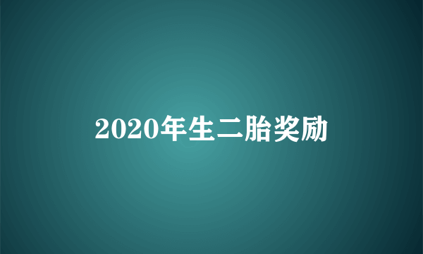 2020年生二胎奖励