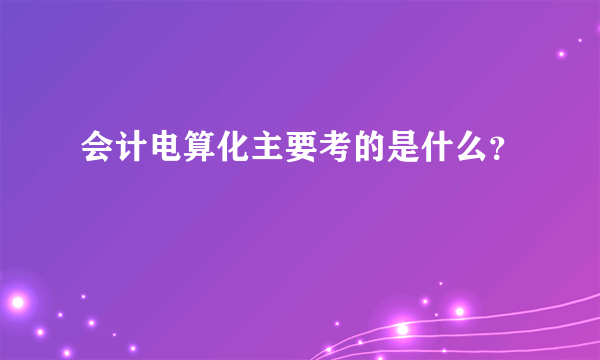 会计电算化主要考的是什么？