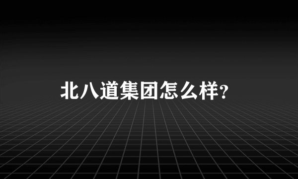 北八道集团怎么样？