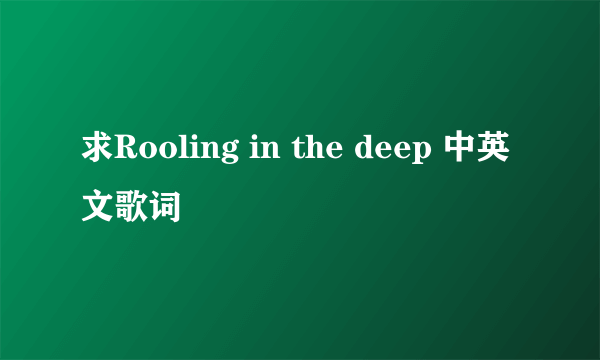 求Rooling in the deep 中英文歌词