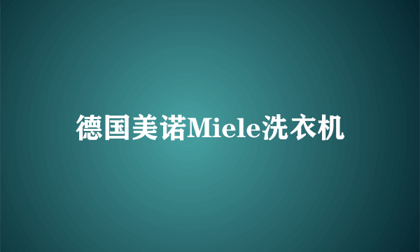 德国美诺Miele洗衣机