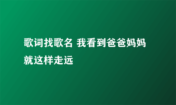 歌词找歌名 我看到爸爸妈妈就这样走远