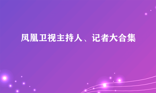 凤凰卫视主持人、记者大合集