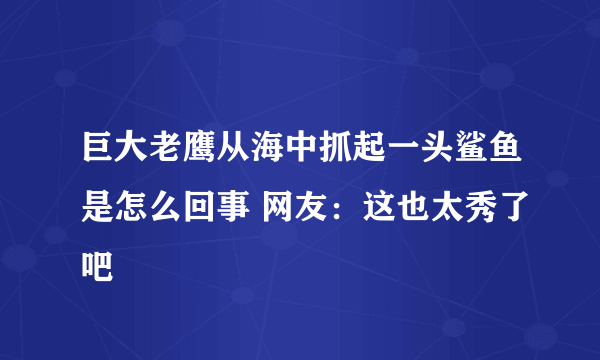 巨大老鹰从海中抓起一头鲨鱼是怎么回事 网友：这也太秀了吧