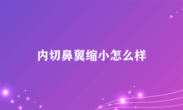 内切鼻翼缩小怎么样