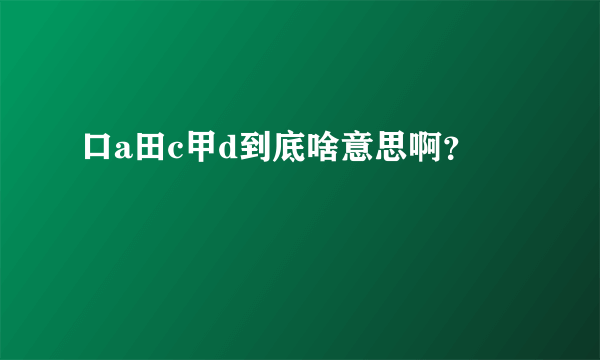 口a田c甲d到底啥意思啊？