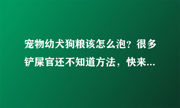 宠物幼犬狗粮该怎么泡？很多铲屎官还不知道方法，快来学习吧！