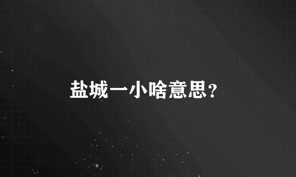 盐城一小啥意思？