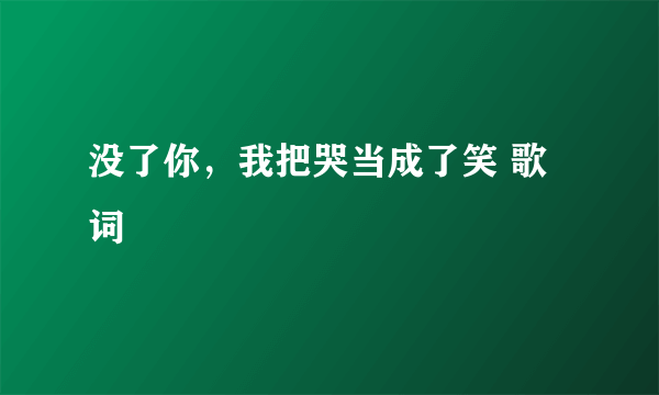 没了你，我把哭当成了笑 歌词