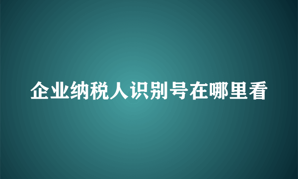 企业纳税人识别号在哪里看