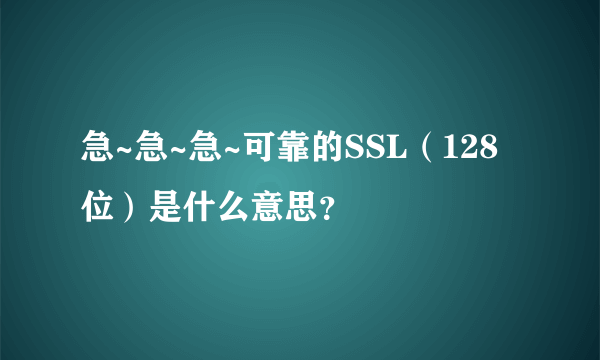 急~急~急~可靠的SSL（128位）是什么意思？