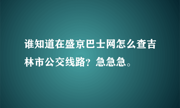 谁知道在盛京巴士网怎么查吉林市公交线路？急急急。