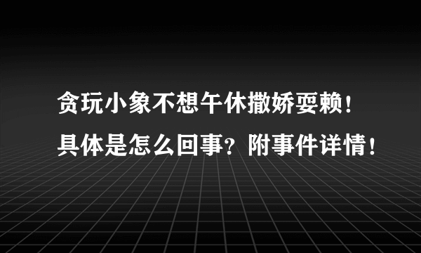 贪玩小象不想午休撒娇耍赖！具体是怎么回事？附事件详情！