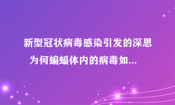 新型冠状病毒感染引发的深思  为何蝙蝠体内的病毒如此致命？